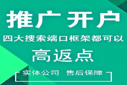 SEM托管案例分析：品牌如何快速崛起